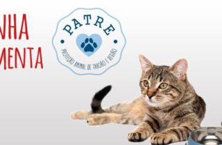 Cãopanha Miaulimenta - PATRE