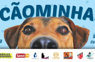 3ª Cãominhada